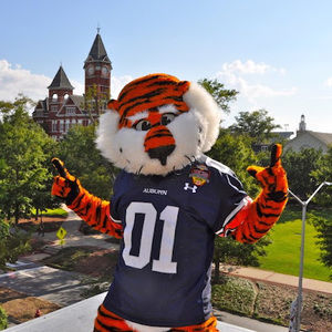 Meet your Posher, Vicki